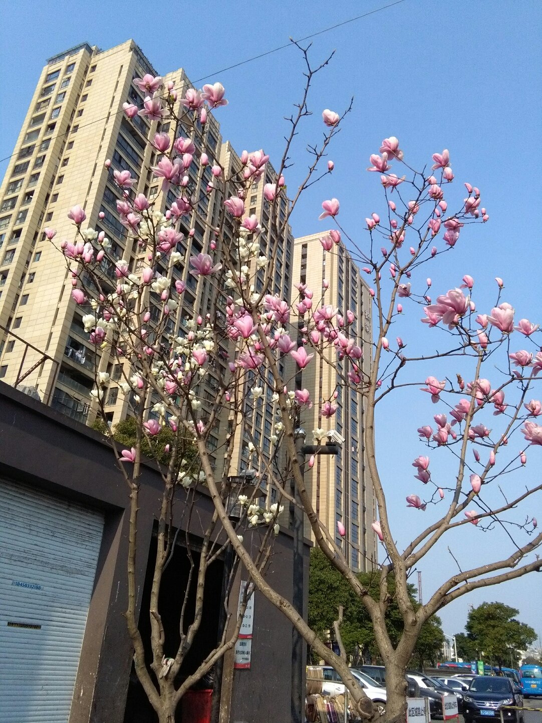 潘桥街道天气预报更新通知