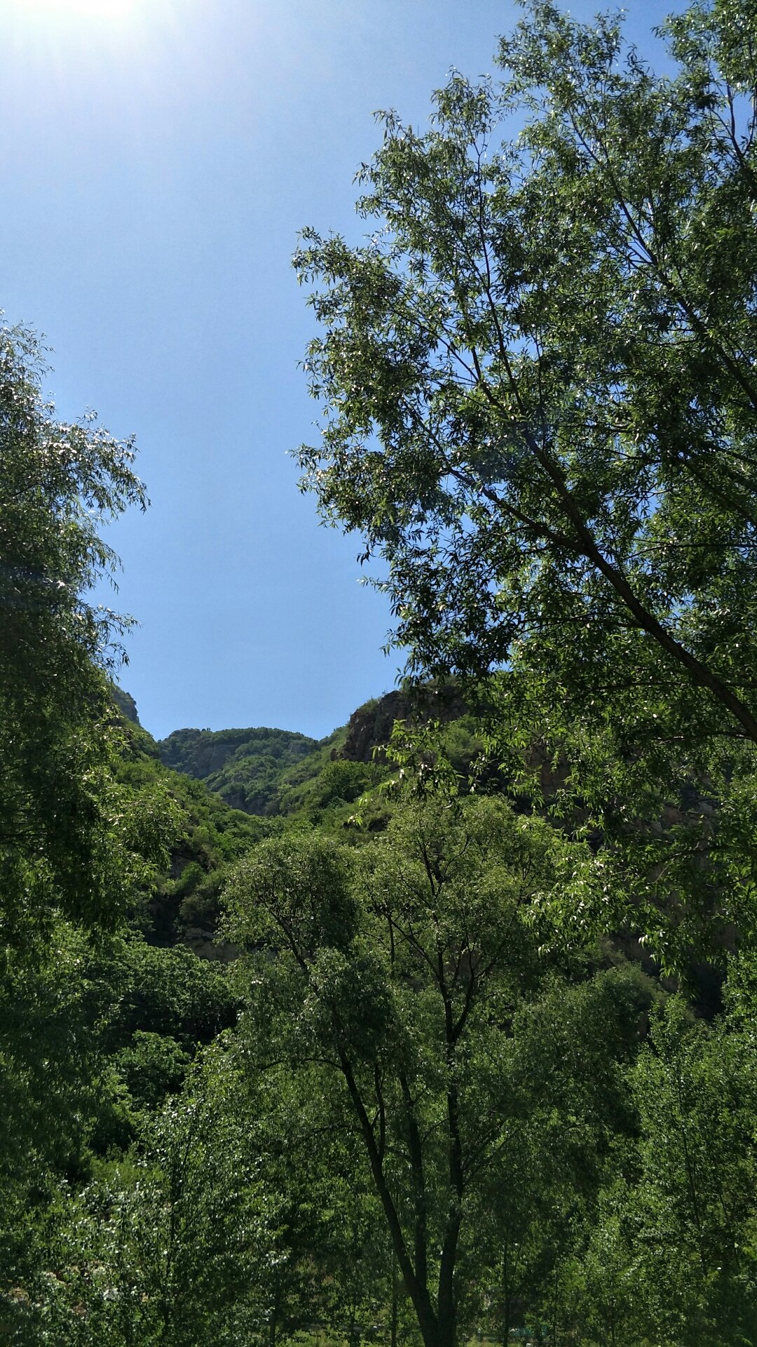 梯子岩村天气预报更新通知