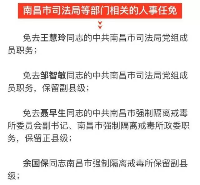 西工区科技局人事任命动态更新