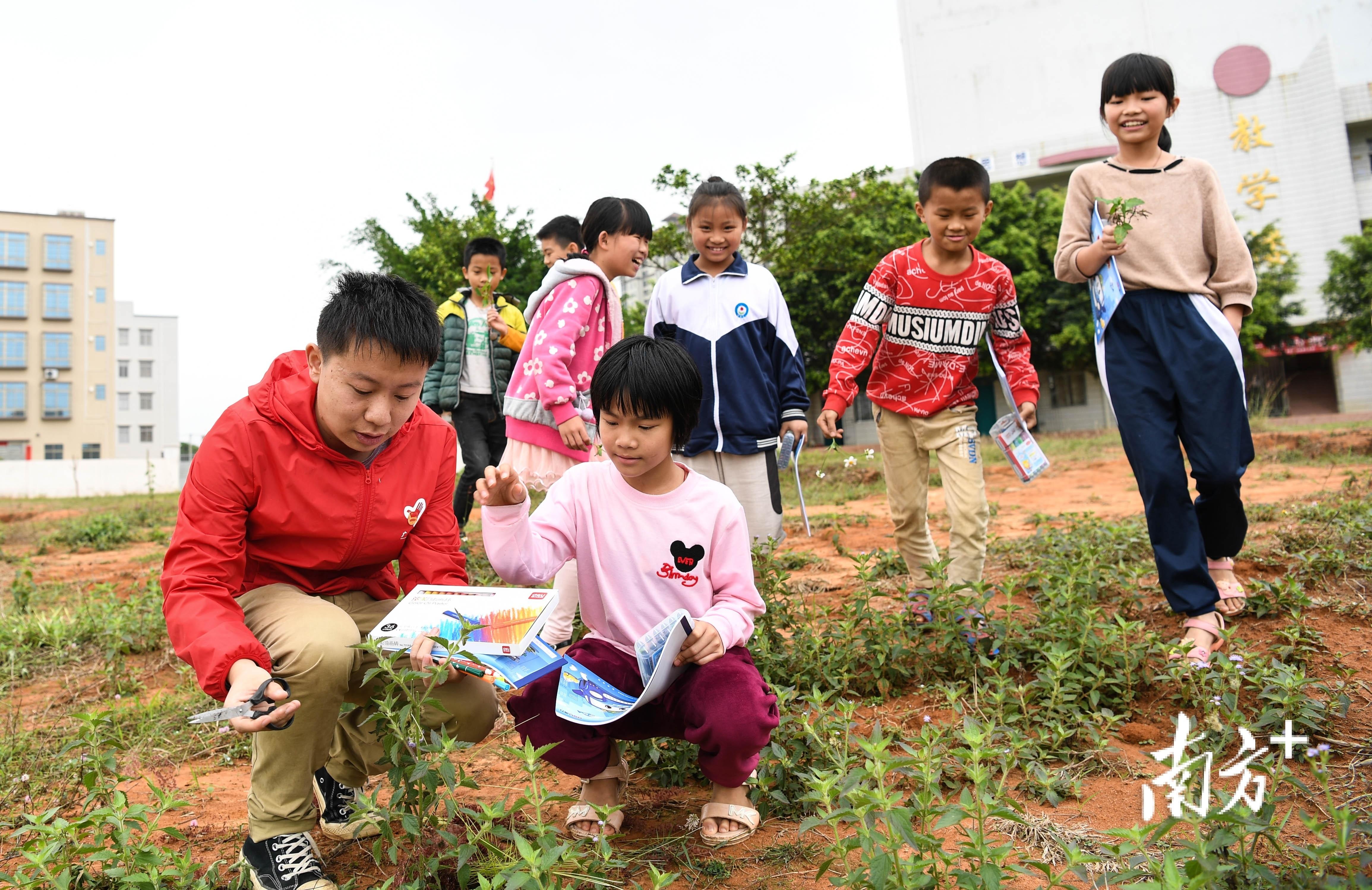 麻章区小学领导最新概览