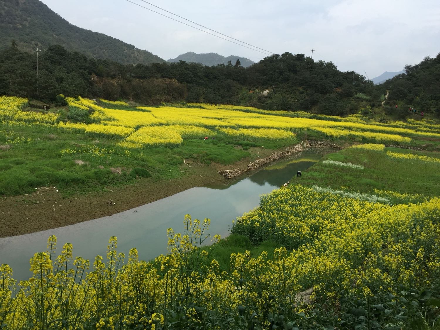 黄坛口乡天气预报更新通知