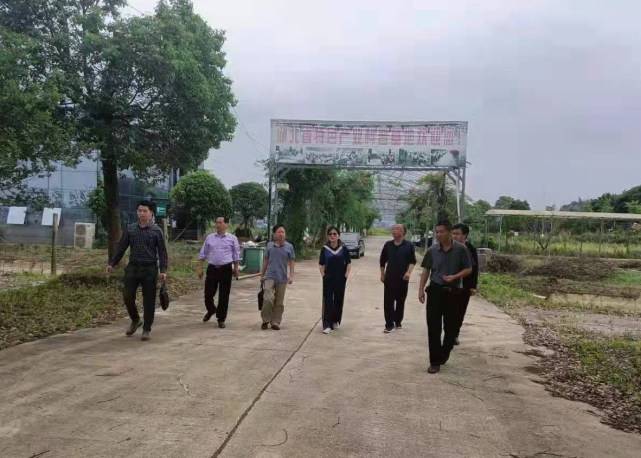 雨花区农业农村局发布最新动态报告