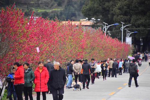 乐昌市特殊教育事业单位领导团队简介