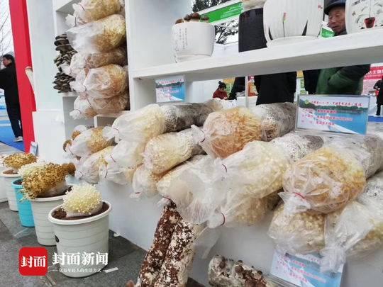 蓬溪县市场监督管理局最新发展规划