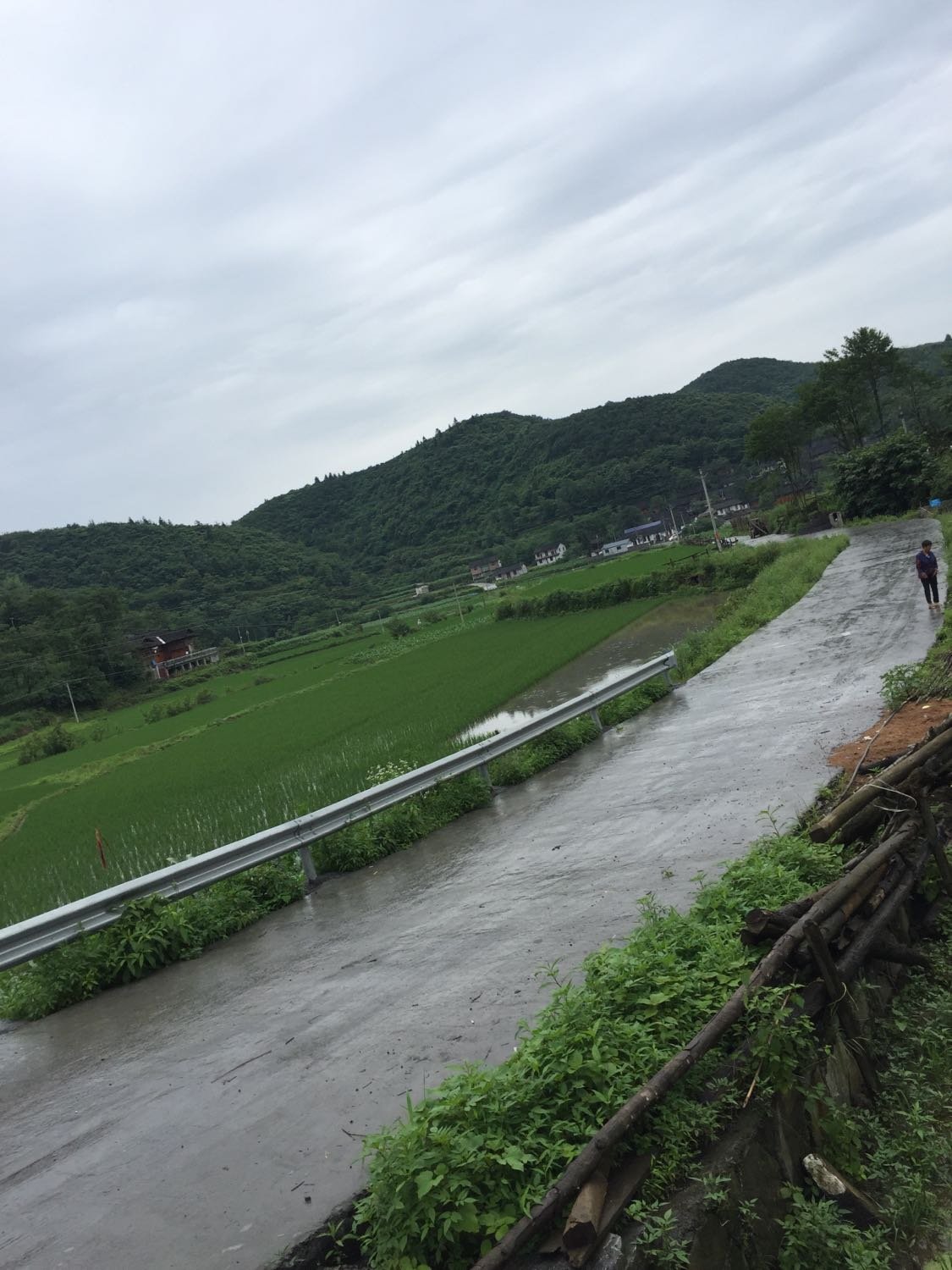 布堆村天气预报更新通知