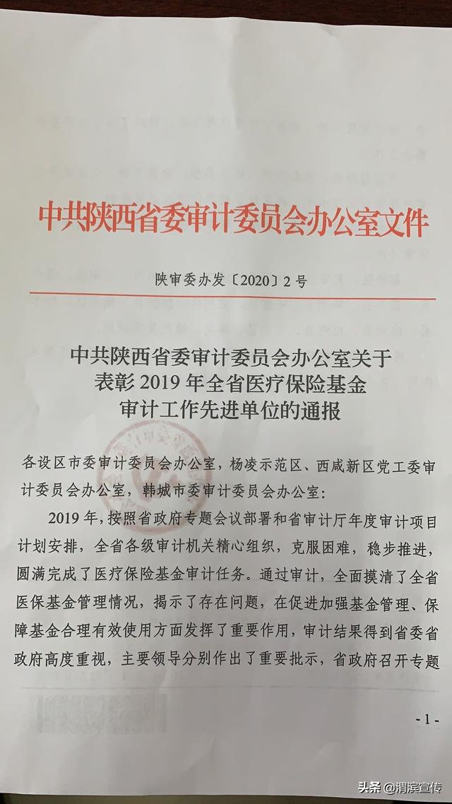 渭滨区审计局最新招聘启事概览