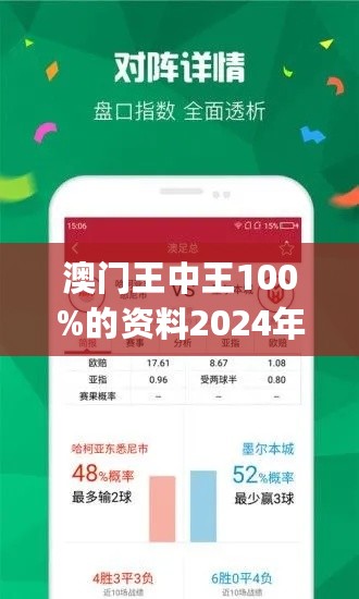 2024年新澳门王中王免费,精细解析评估_运动版15.36