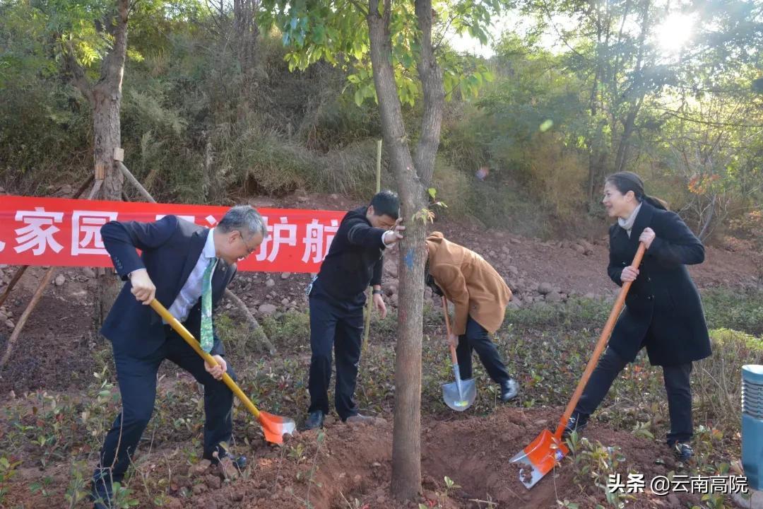 云龙县计生委最新项目进展及其社会影响概述