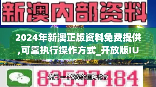 2024新澳正版免费资料,专业研究解释定义_kit69.287