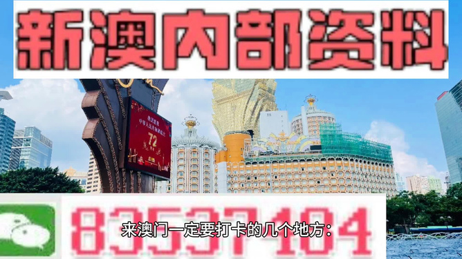 2024新澳精准正版资料,平衡指导策略_纪念版11.62