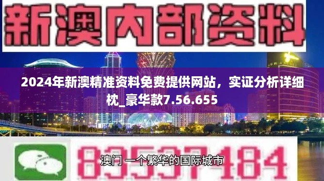 2024年澳门正版免费,效率资料解释落实_win305.210