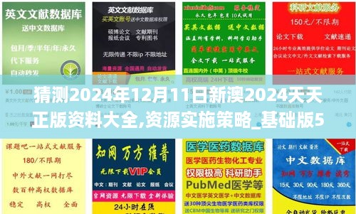 2024新 天天资料免 大全,诠释分析定义_战略版19.964