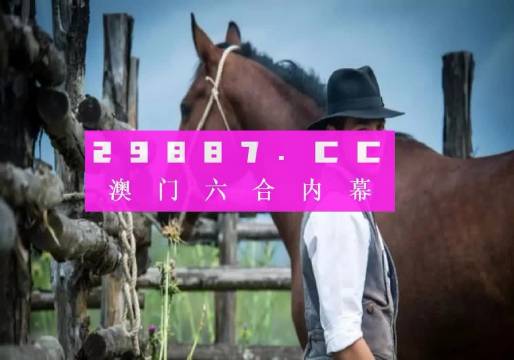 澳门一肖一码一必中一肖,实地验证策略_终极版89.832