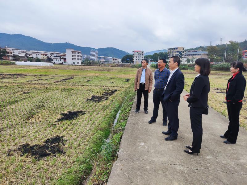 永定县农业农村局新项目推动农业现代化，乡村振兴再添新动力