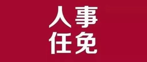 浔阳区审计局最新人事任命，推动审计事业迈上新台阶