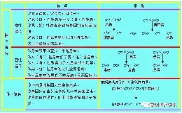 正版资料全年资料大全,符合性策略定义研究_S92.939