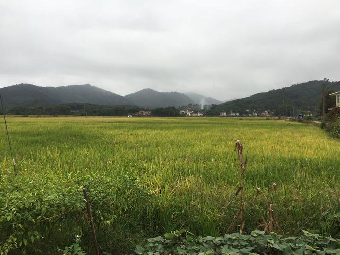 田源镇天气预报更新通知