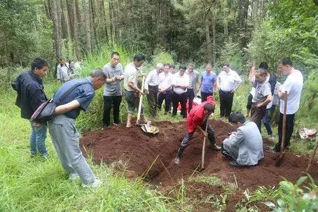 腾冲县民政局最新领导团队引领担当，共筑民生福祉