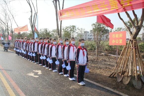 沙市区小学最新动态报道