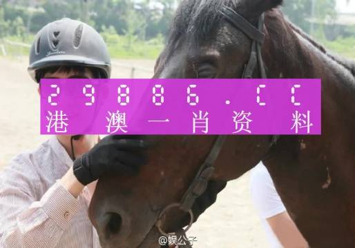 今晚澳门最准一肖一码,可靠解答解释定义_L版32.924