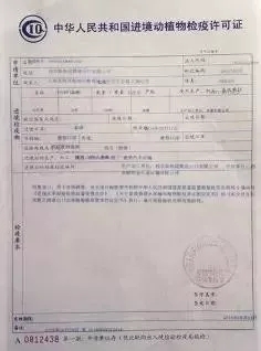 洪江市防疫检疫站人事调整，共筑防线，齐心抗疫