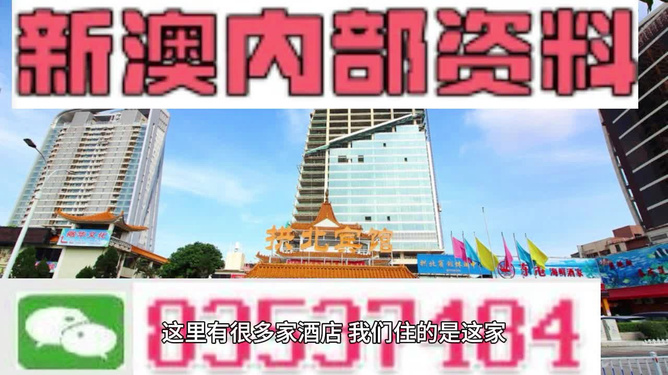 澳门最精准免费资料大全旅游团,重要性解析方法_潮流版77.813