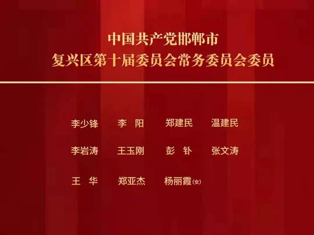 马山县文化局人事任命动态更新